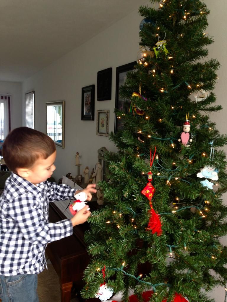 photo IMG_1128_zps32a87695.jpg