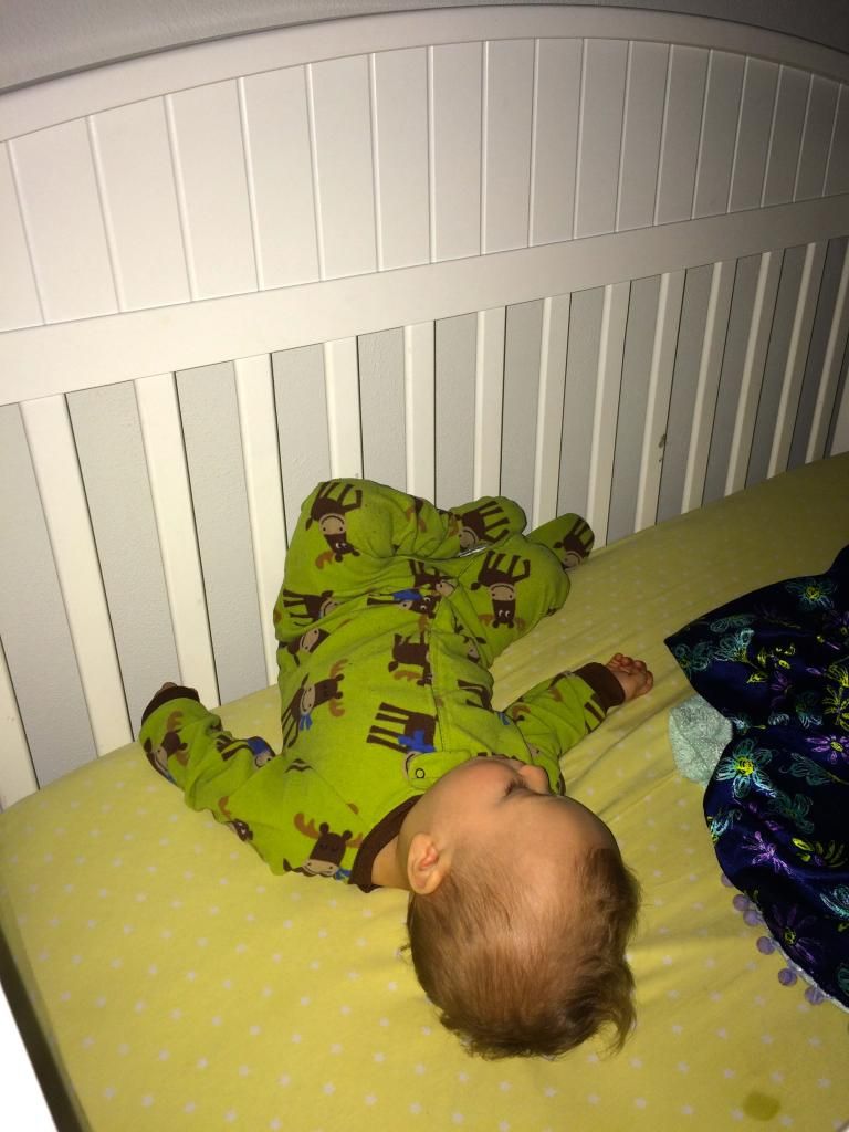 photo IMG_2335_zps8b78b53c.jpg