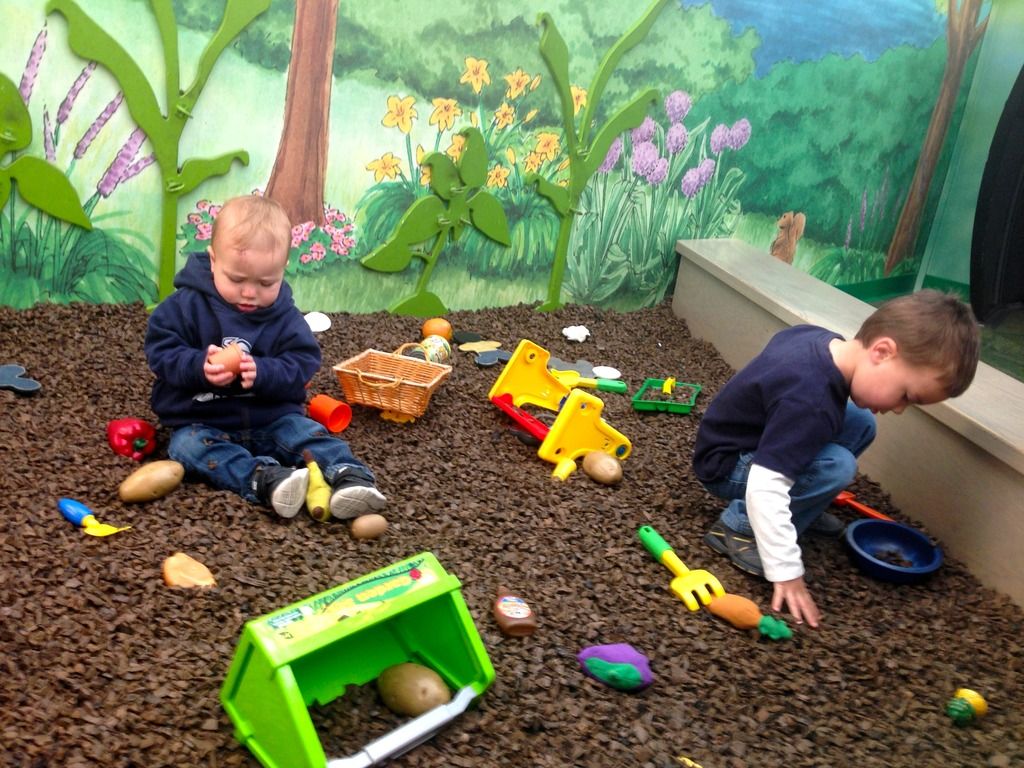 photo IMG_3674_zpshjlccree.jpg