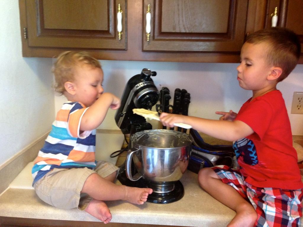 photo IMG_6324_2_zpsit1f9cuz.jpg
