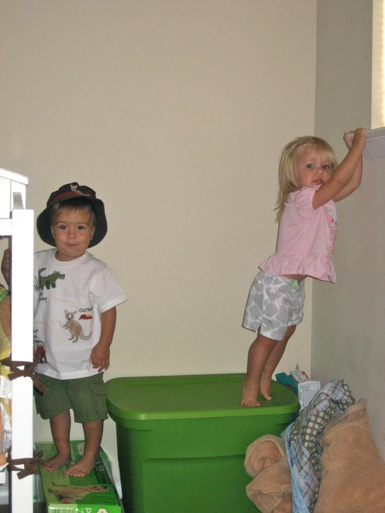 photo IMG_6531_zps0c1fa795.jpg