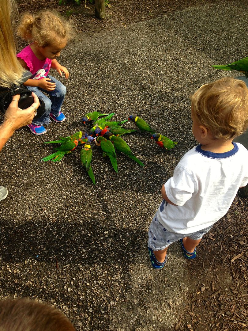 photo IMG_8208_zpscq3wd5lo.jpg