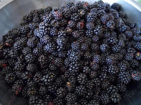 036_zpsbbf743ca.jpg