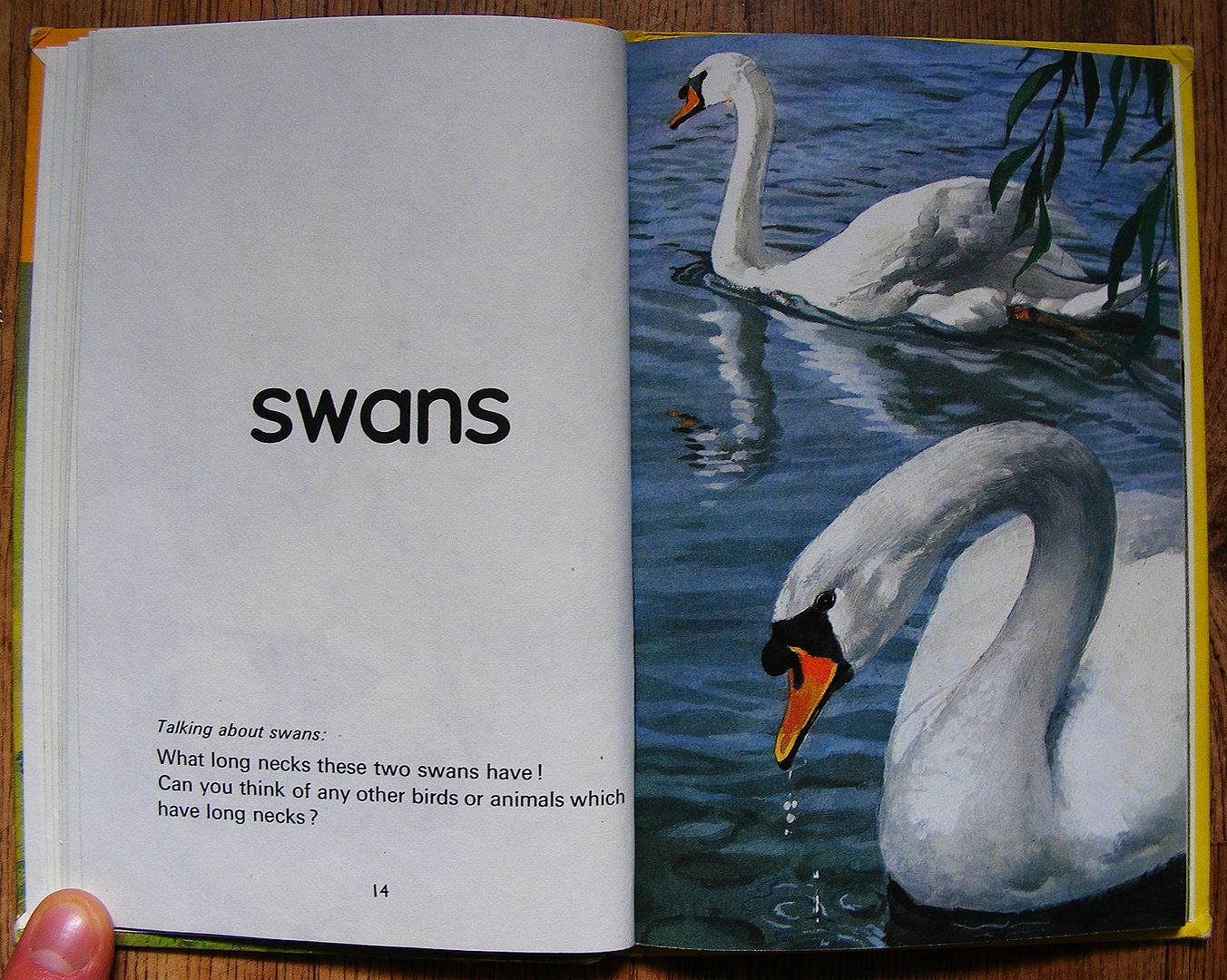 VINTAGE LADYBIRD BOOK A Ladybird Fourth Picture Book, Series 704