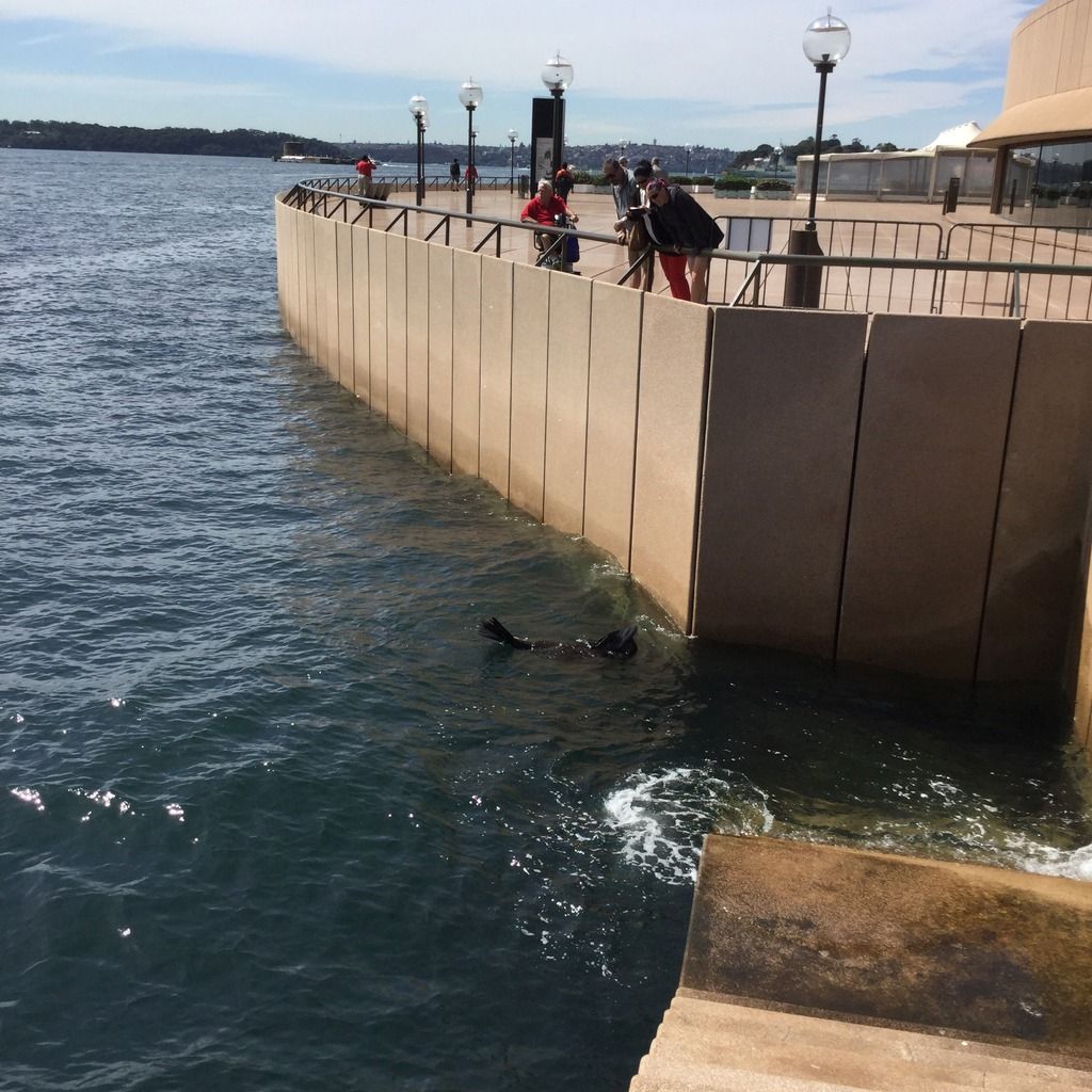 Sydney y manly - 21 días por australia (4)