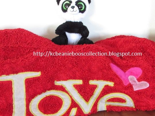  photo Bamboo my 7th beanie boo A_zpsqjgo5hrv.jpg