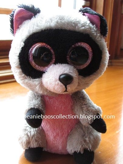 beanie boos racoon