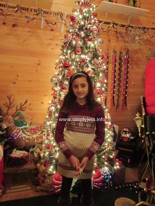  photo Christmas sweater dress_zps2myue14r.jpg