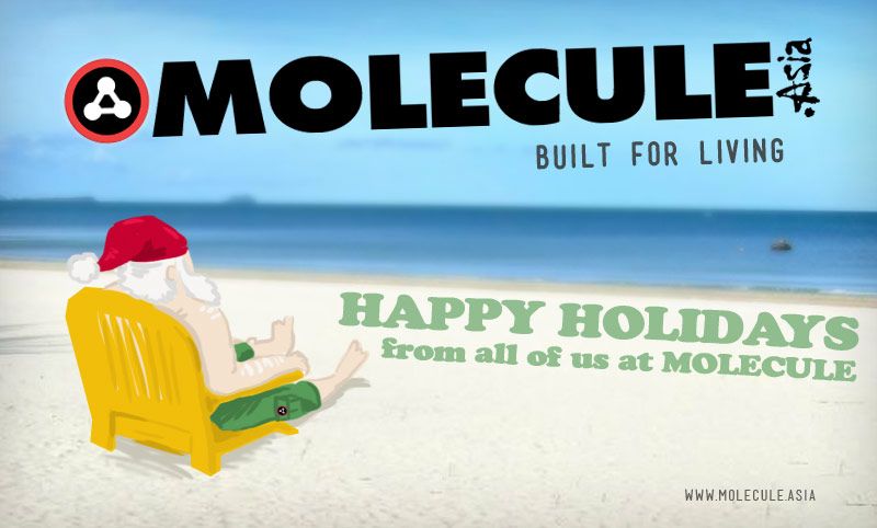 photo moleculemolecule-santa_zps5de14a72.jpg