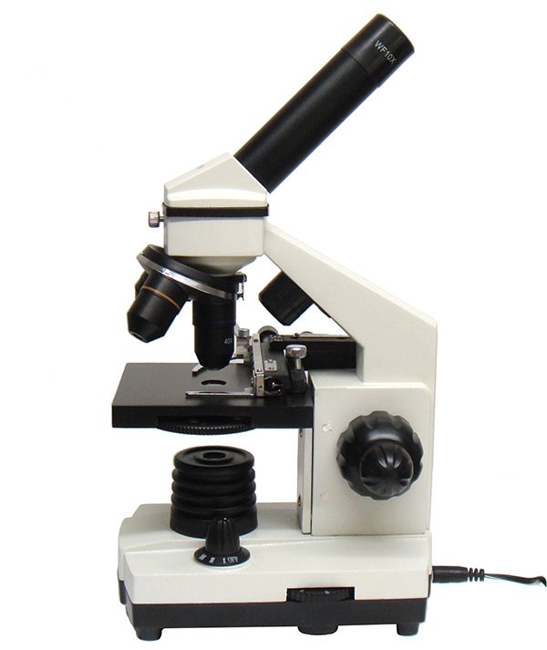 Nipon biological microscope with fine focus knob. 40x to 400x