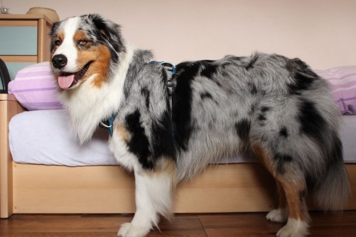 781523a1-a1de-4385-853d-2a3a134b07ce_zps