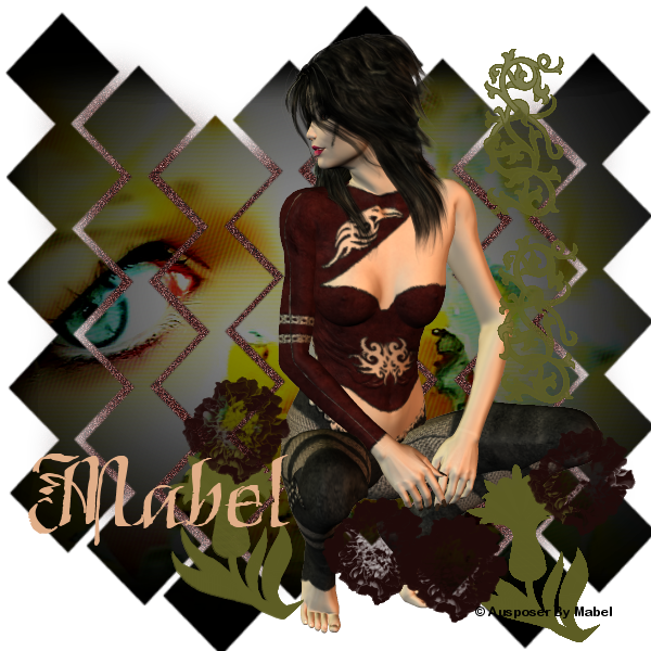  photo abel.png