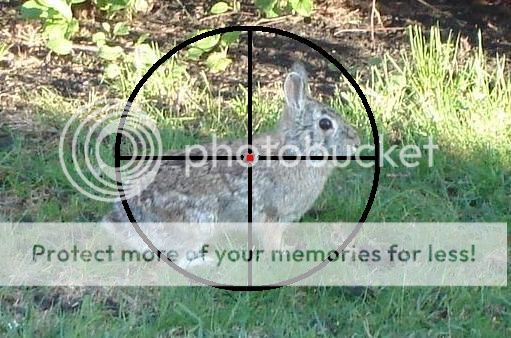  photo rabbit-crosshairs9_zps0phtih58.jpg