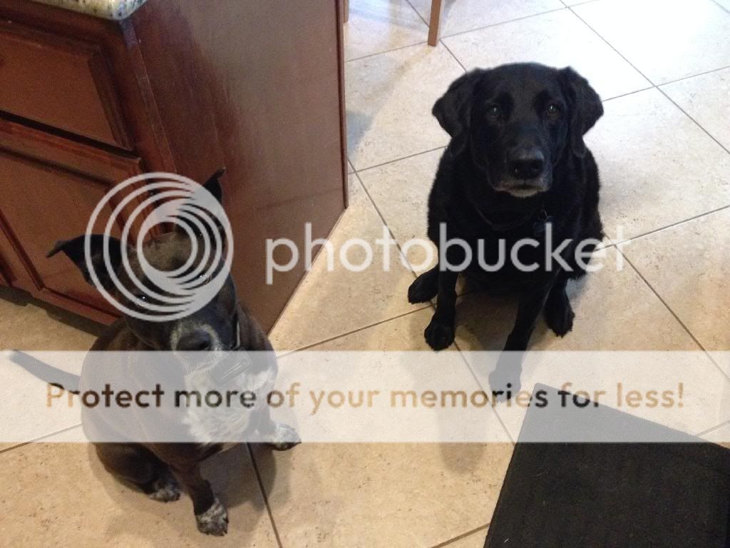 photo 520ACA1D-8907-4A56-B89E-DD3145CD208E_zps72u3zs4i.jpg