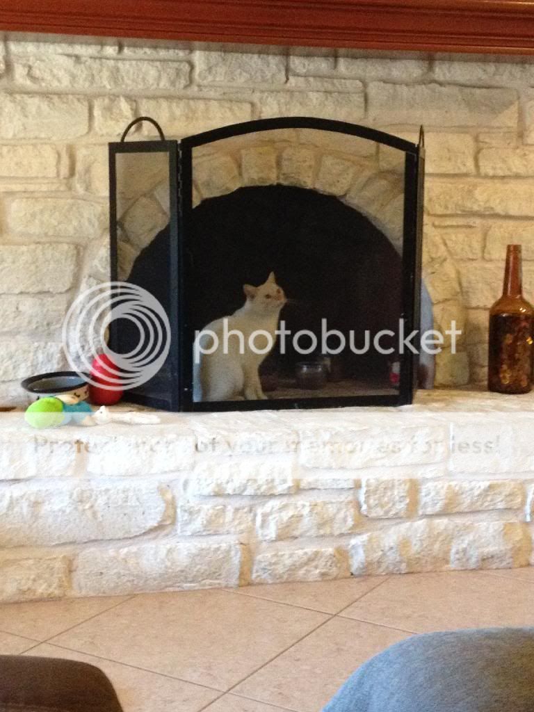 photo 5ECBBA1A-0E03-4F33-8EF0-245D0A296878_zps0bueurpt.jpg