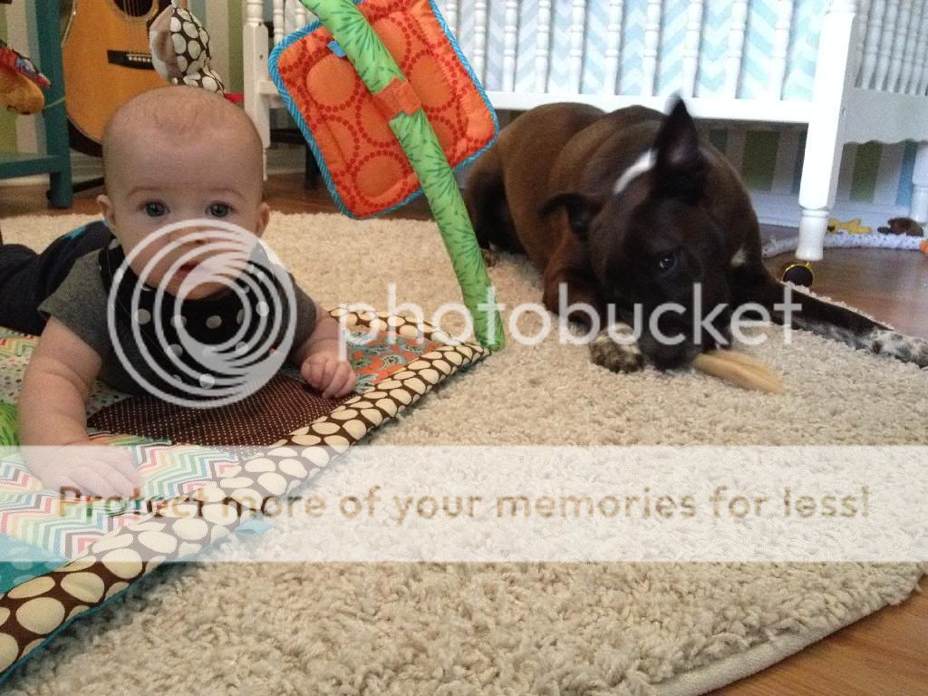 photo A81A5BFA-DB2E-4626-A70D-9FDC9C17D278_zpsrhqtubzw.jpg