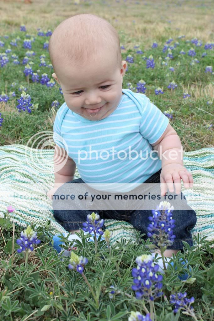 photo BlueBonnets_zpsf3eb6fa0.jpg