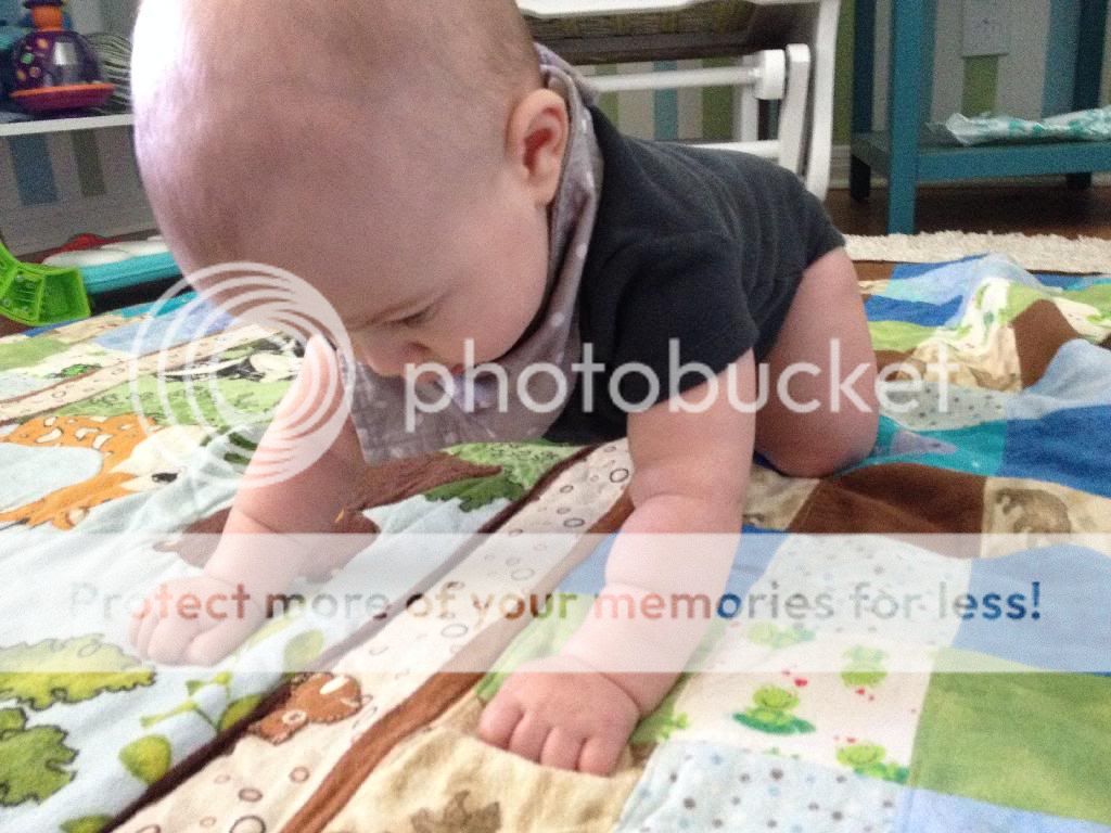 photo F05BFF59-9ACA-4A39-BD0A-E88EB075F02A_zpswoeowldi.jpg