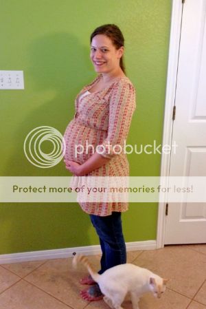 photo b2170cd8-3393-4b0b-8f06-ca85e9ef3acf_zpsc4b9052e.jpg