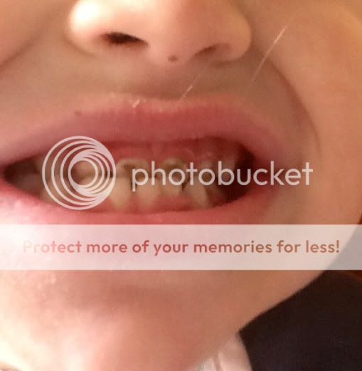 Photobucket Pictures, Images and Photos