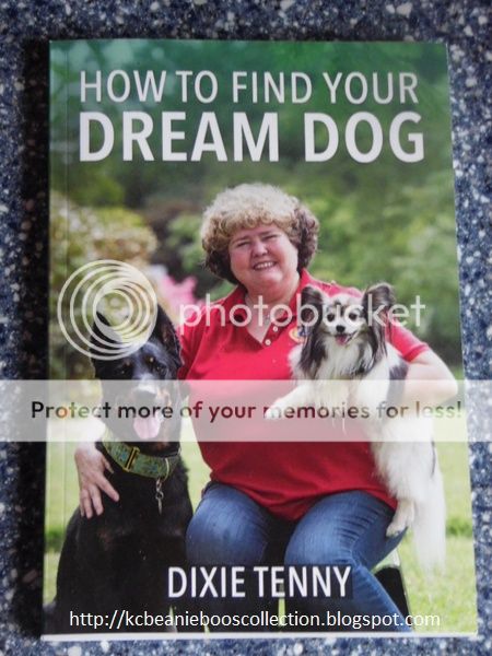  photo How to find your dream dog A_zpsrtsfrg9n.jpg
