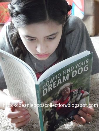  photo How to find your dream dog_zpsex0q4ion.jpg