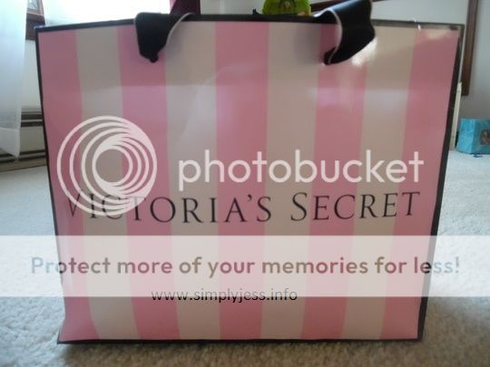I am liking this new Victoria's Secret shopping bag