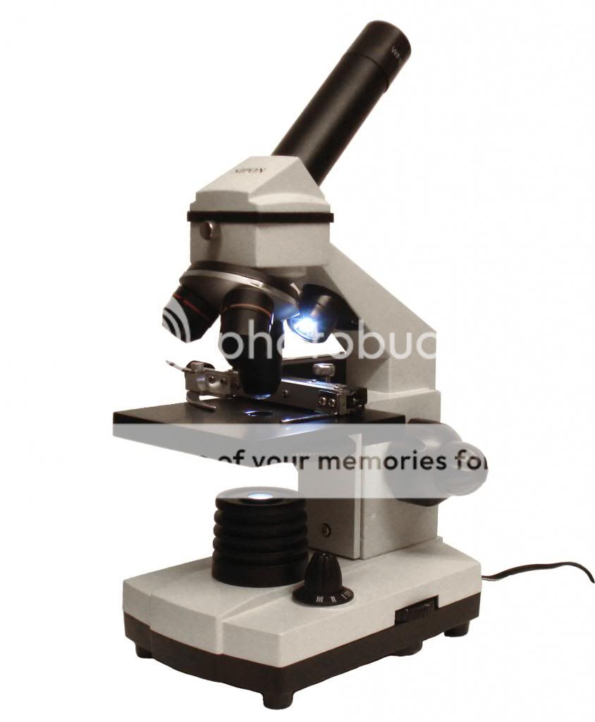 Nipon biological microscope with fine focus knob. 40x to 400x ...